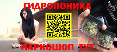 mdpv Ярославль