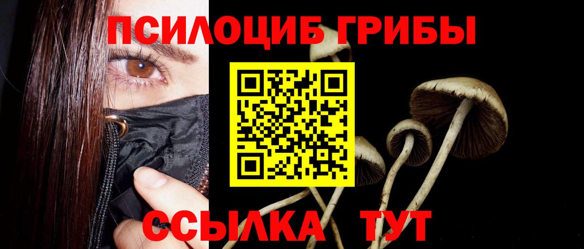 Великие Луки  Галлюциногенные грибы GOLDEN TEACHER  Вход с VPN 